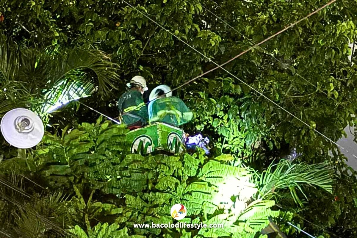 Negros Power Personnel working on a Powerline during Typhoon Crising
